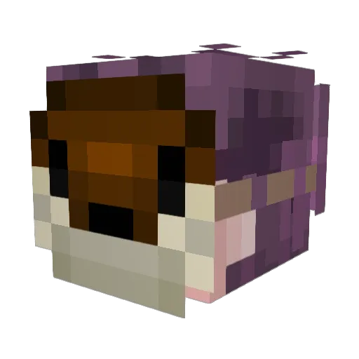 Otternity Minecraft avatar head, 3D render