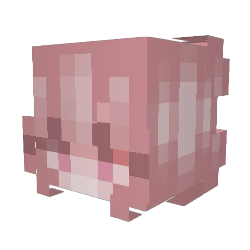 OttiOtti Minecraft avatar head, 3D render