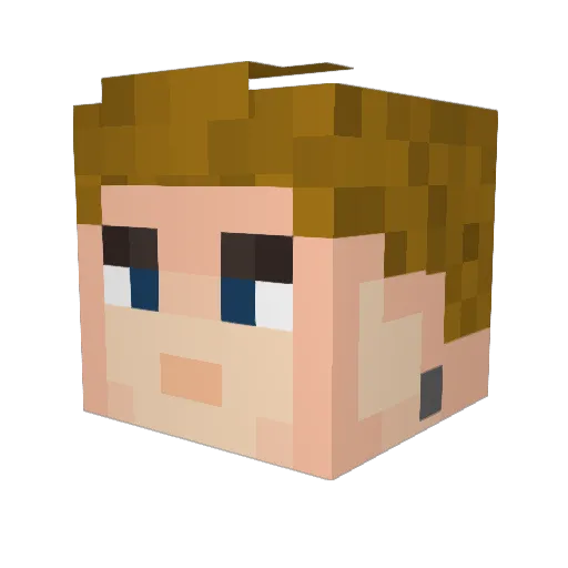 Otto4903 Minecraft avatar head, 3D render