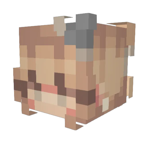 Otto_tins Minecraft avatar head, 3D render