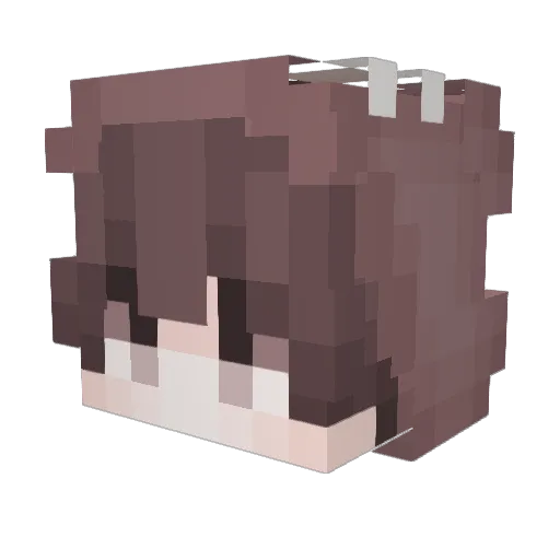 Otty_Otter Minecraft avatar head, 3D render