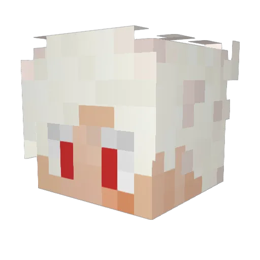 Ouasay Minecraft avatar head, 3D render