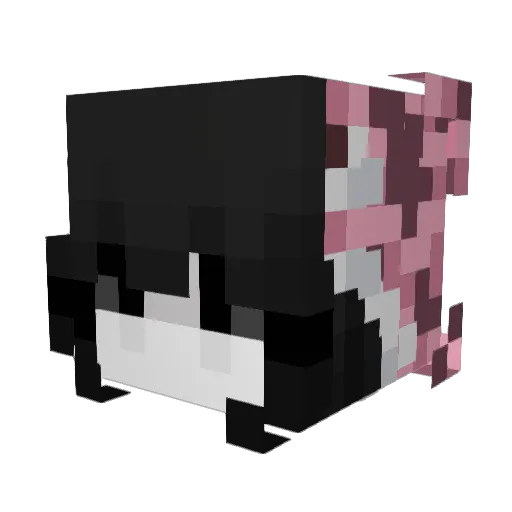 OukhtyDeCombat Minecraft avatar head, 3D render