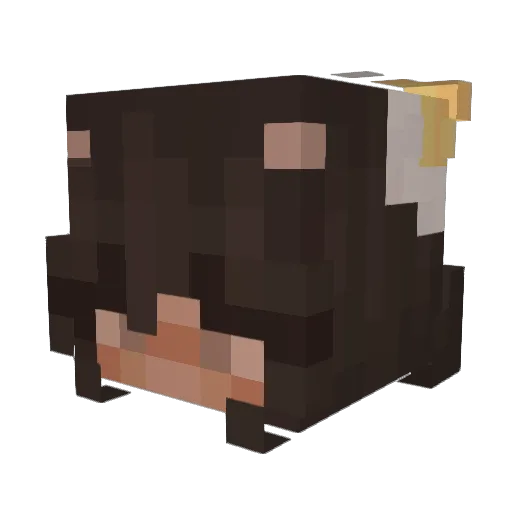 Oulenq Minecraft avatar head, 3D render