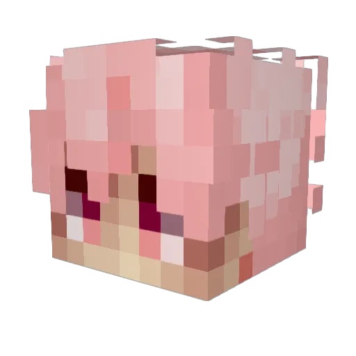 Oullyx Minecraft avatar head, 3D render