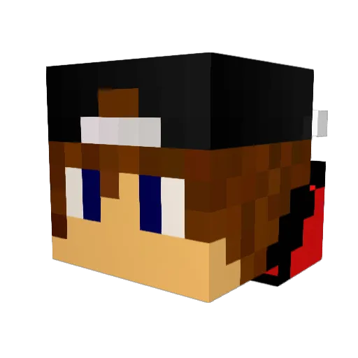 Oupain Minecraft avatar head, 3D render