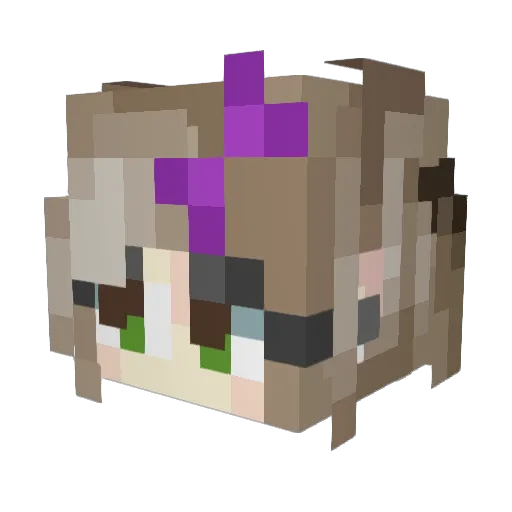 OurDestiny Minecraft avatar head, 3D render