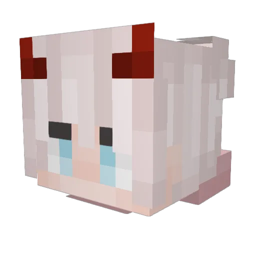 OurHouse2020 Minecraft avatar head, 3D render