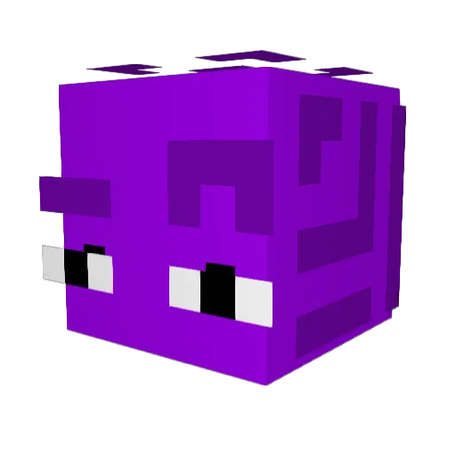 OurMaximus222 Minecraft avatar head, 3D render