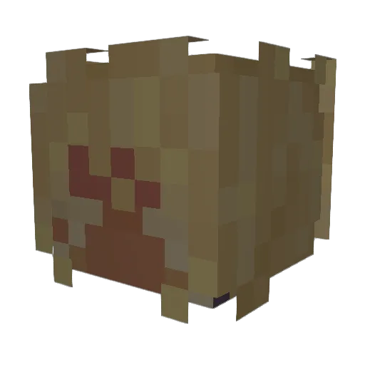 OurTruths Minecraft avatar head, 3D render