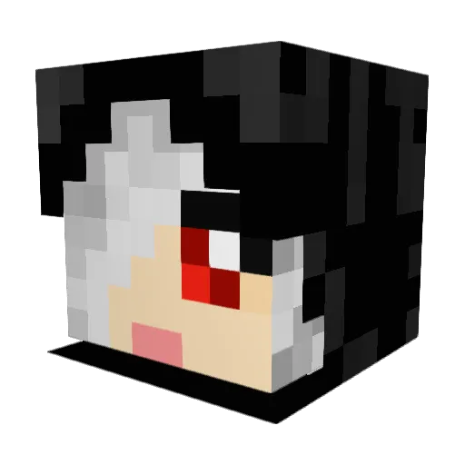 Our_Sanity Minecraft avatar head, 3D render