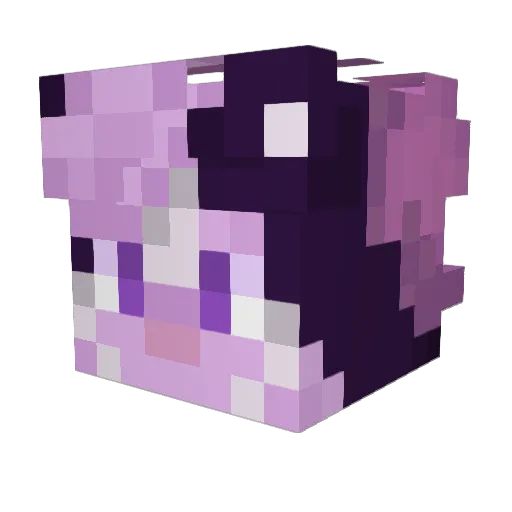 OurpleLexi Minecraft avatar head, 3D render