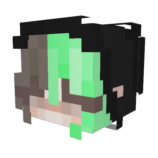 Oursonoir Minecraft avatar head, 3D render
