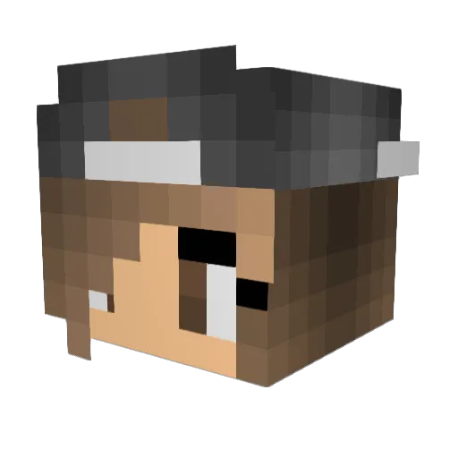 OutHit_ Minecraft avatar head, 3D render