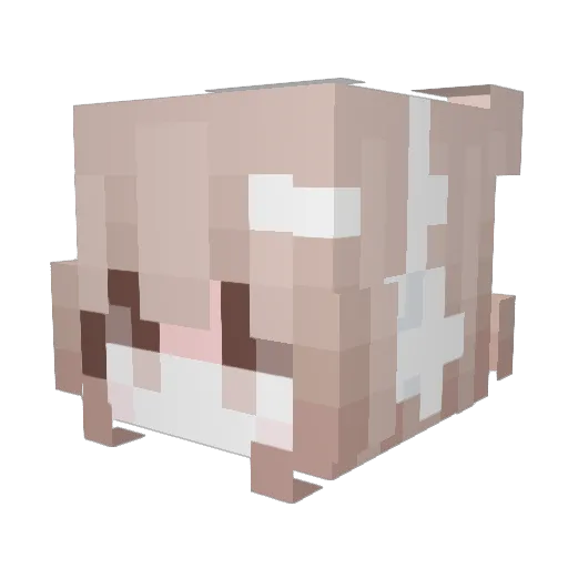 OutVoid Minecraft avatar head, 3D render
