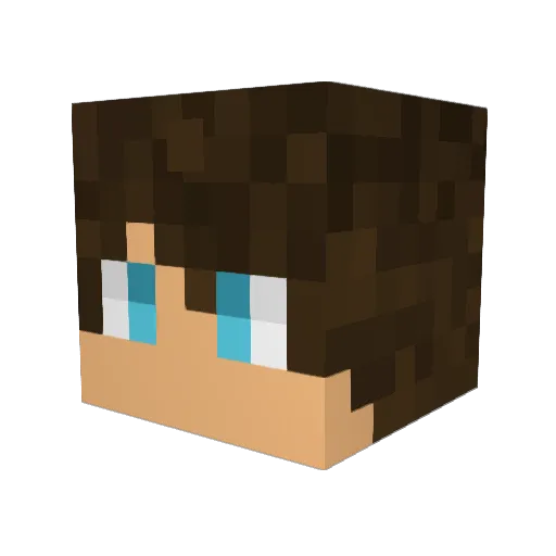 Outback27 Minecraft avatar head, 3D render