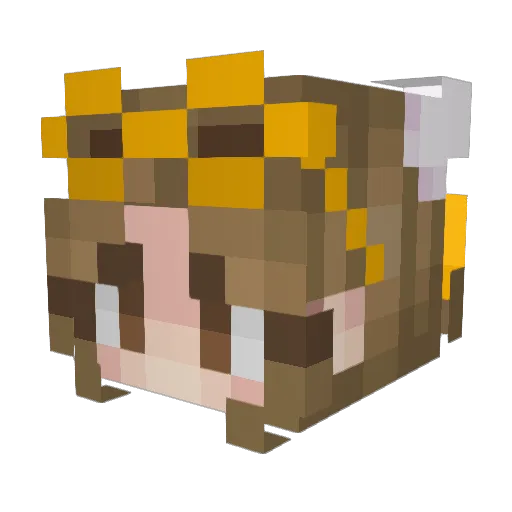 OutcastXp Minecraft avatar head, 3D render