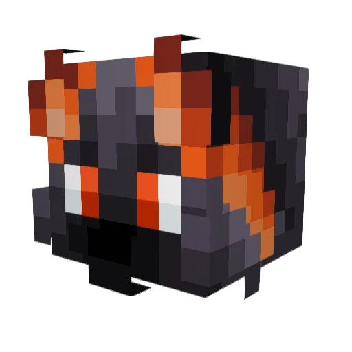 Outclaw_4417 Minecraft avatar head, 3D render