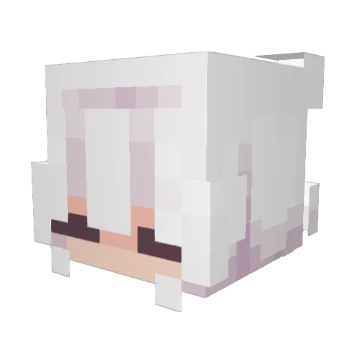 OuterMin Minecraft avatar head, 3D render
