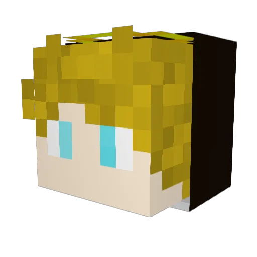 OuterPandora735 Minecraft avatar head, 3D render