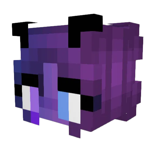 OuterSpace09 Minecraft avatar head, 3D render