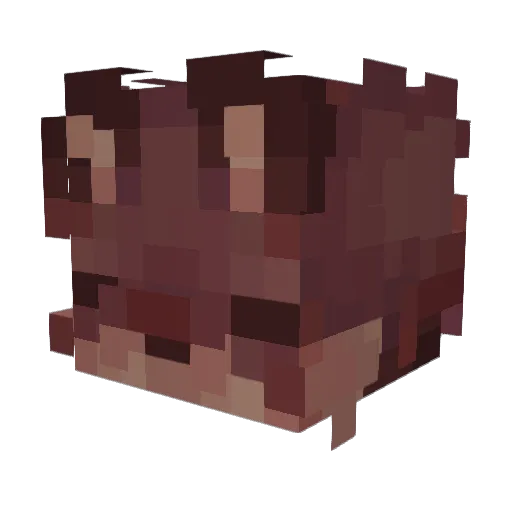 OuterVoid Minecraft avatar head, 3D render