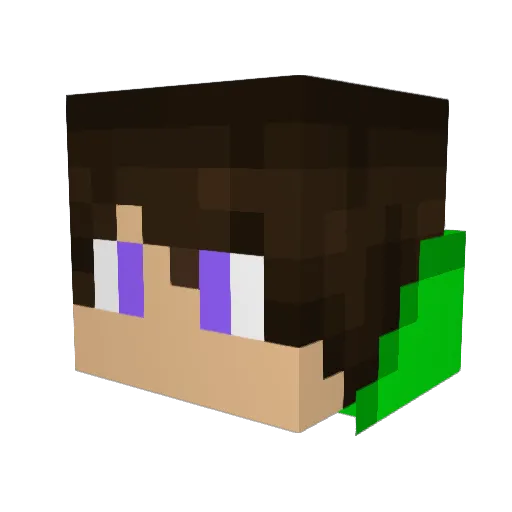 Outlaw_410 Minecraft avatar head, 3D render