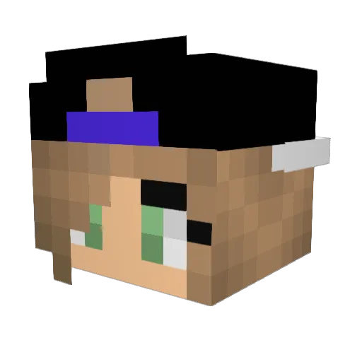 Outlaw_ Minecraft avatar head, 3D render