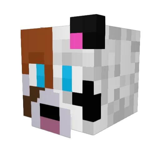 Outta_Luck_Panda Minecraft avatar head, 3D render