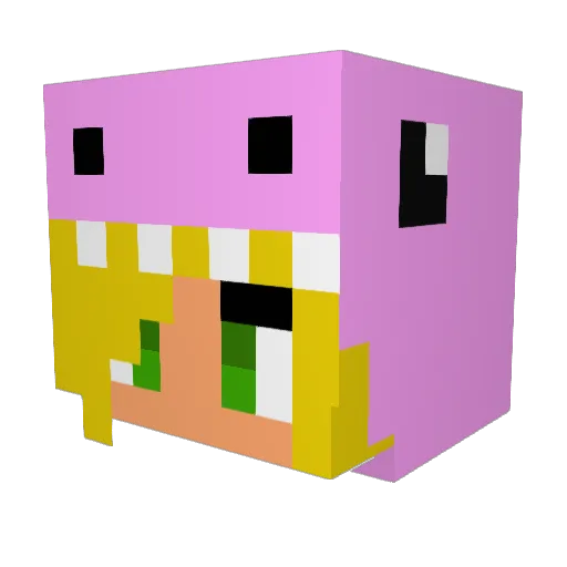 OvenBear Minecraft avatar head, 3D render