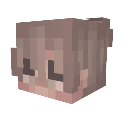 OverWorld2025 Minecraft avatar head, 3D render