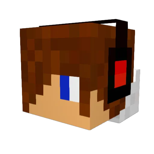 Overcraft13 Minecraft avatar head, 3D render