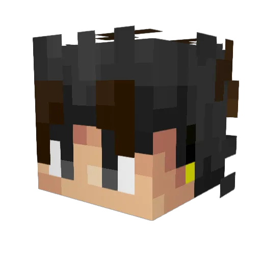 Overdoozs Minecraft avatar head, 3D render