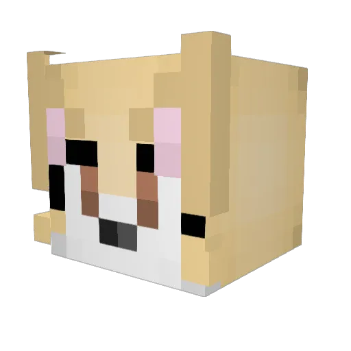 Overfen Minecraft avatar head, 3D render