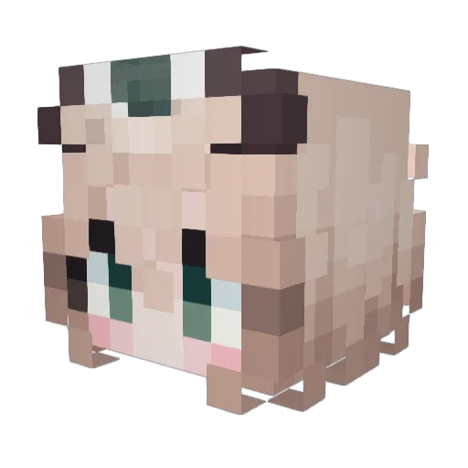 Overkill201 Minecraft avatar head, 3D render