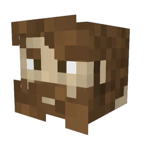 Overlord107 Minecraft avatar head, 3D render