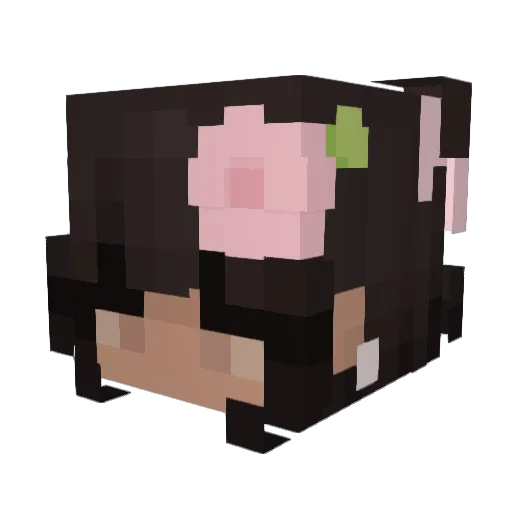 OvernightOats12 Minecraft avatar head, 3D render
