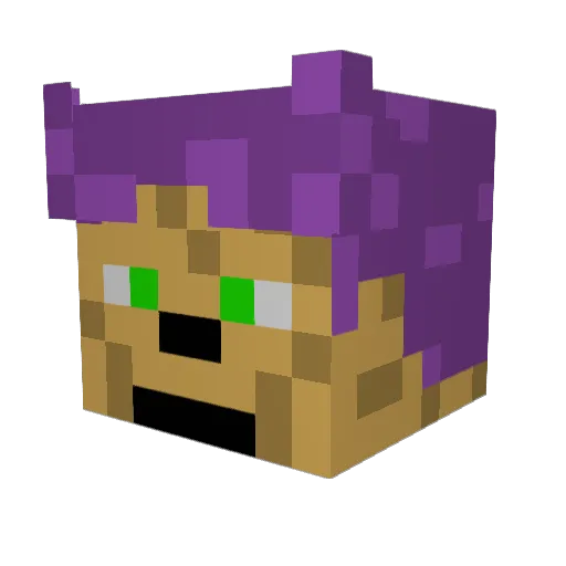 Overworlder67 Minecraft avatar head, 3D render