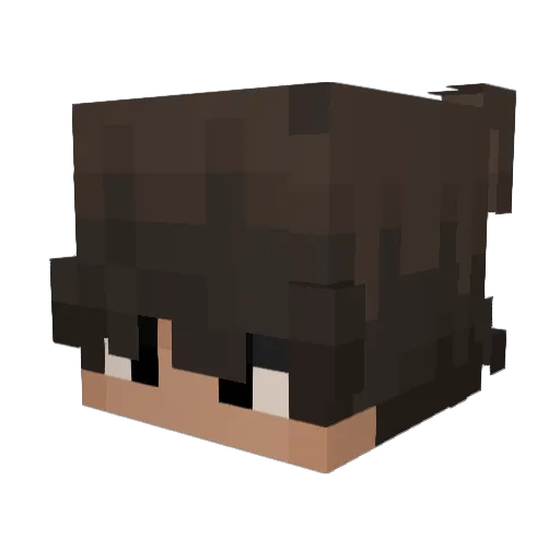 OwczyGod Minecraft avatar head, 3D render