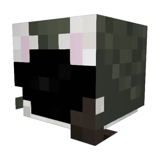 Owe100 Minecraft avatar head, 3D render
