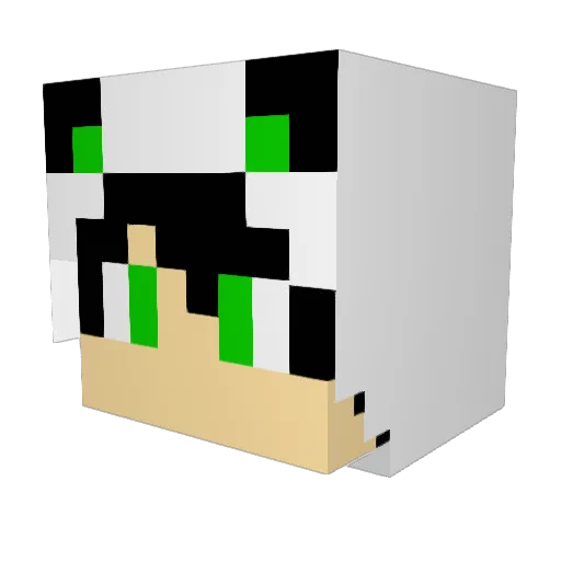 Oweenks Minecraft avatar head, 3D render