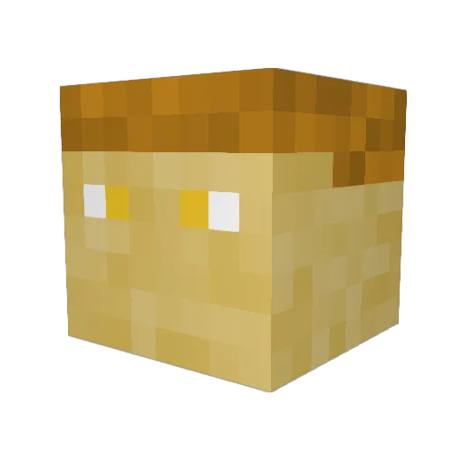 Owen2599 Minecraft avatar head, 3D render