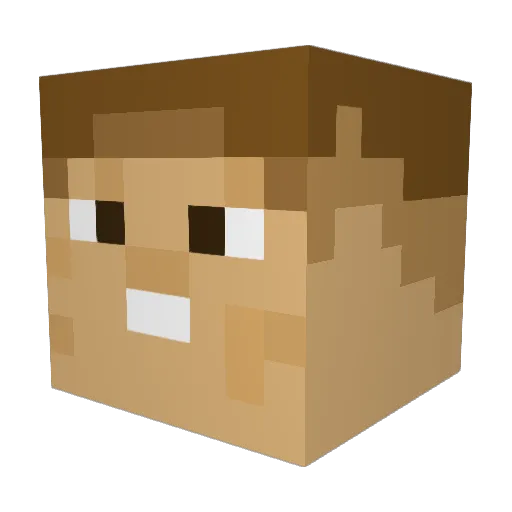 OwenSeanFleming Minecraft avatar head, 3D render