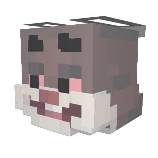 Owindge Minecraft avatar head, 3D render