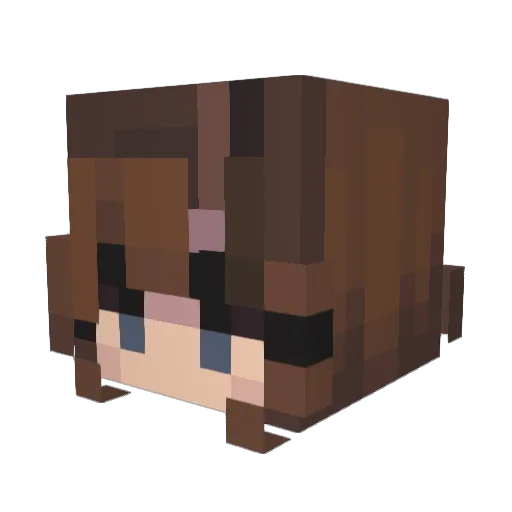 Owl720 Minecraft avatar head, 3D render