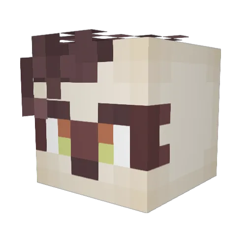 OwlChaser113 Minecraft avatar head, 3D render