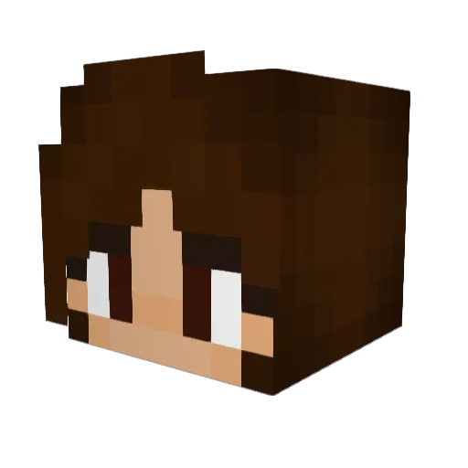 OwlSeeYou Minecraft avatar head, 3D render