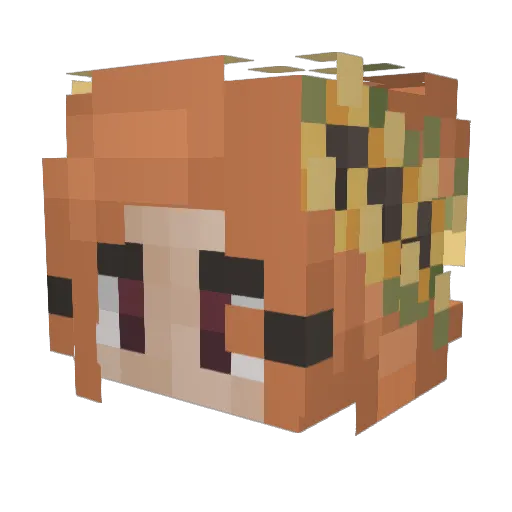Owl_Breeze Minecraft avatar head, 3D render