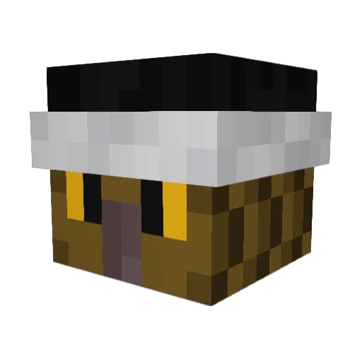 Owl_Crazy Minecraft avatar head, 3D render