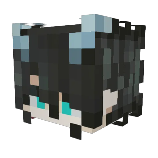 Owl_ish Minecraft avatar head, 3D render